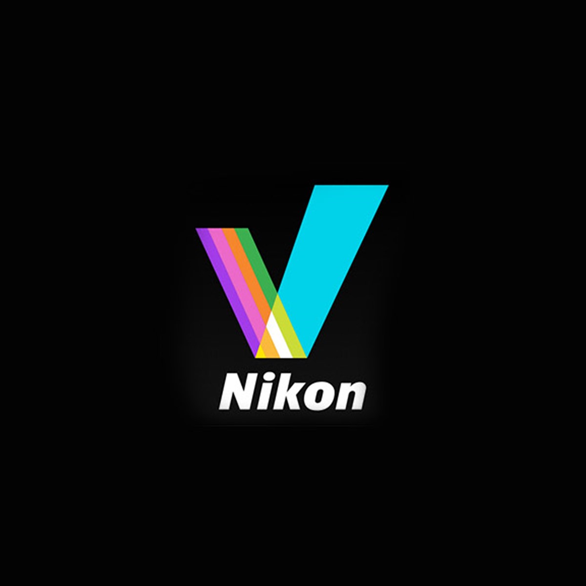 Nikon picture download